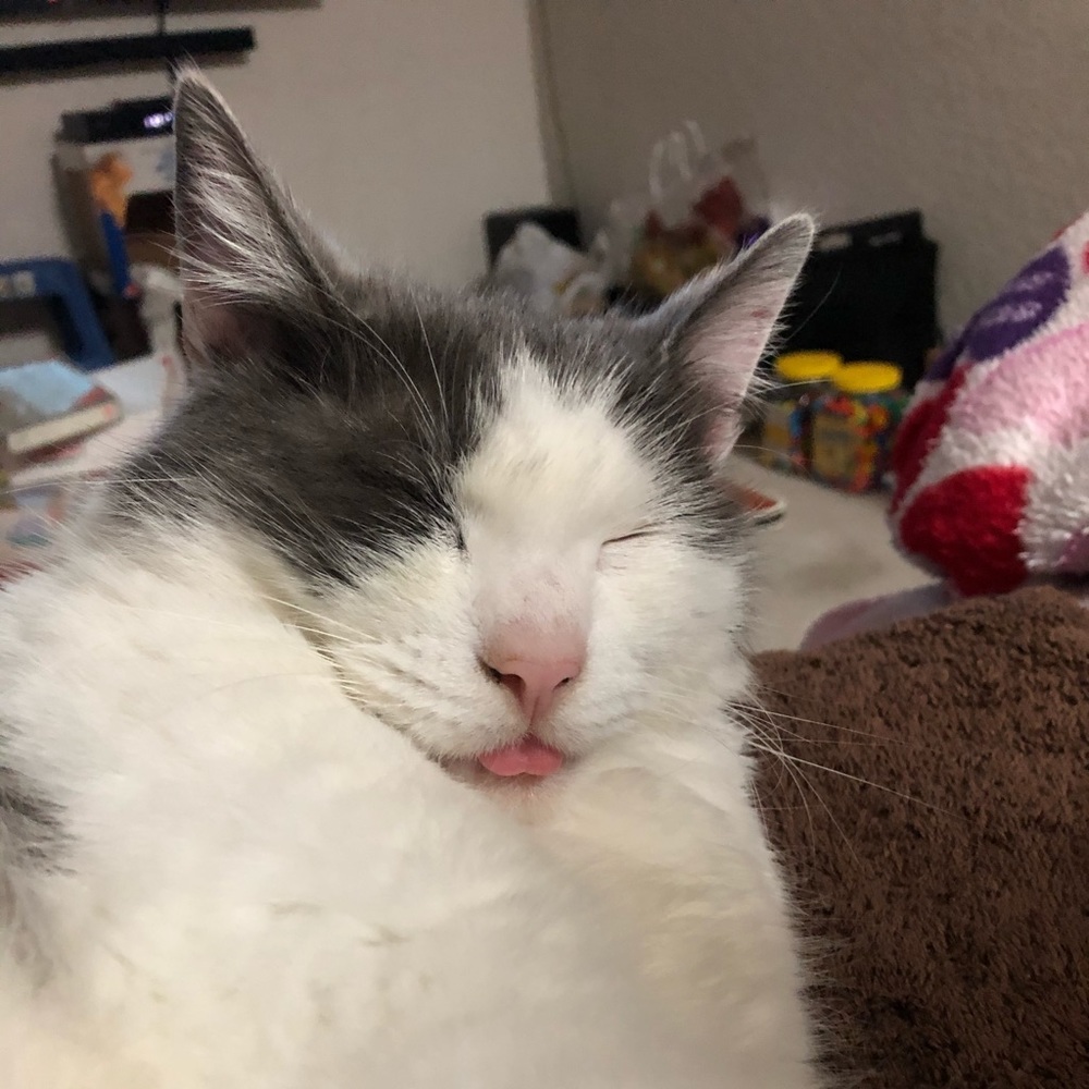 Meet your Posher, Miki